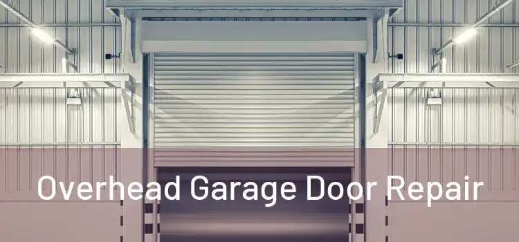  Overhead Garage Door Repair 